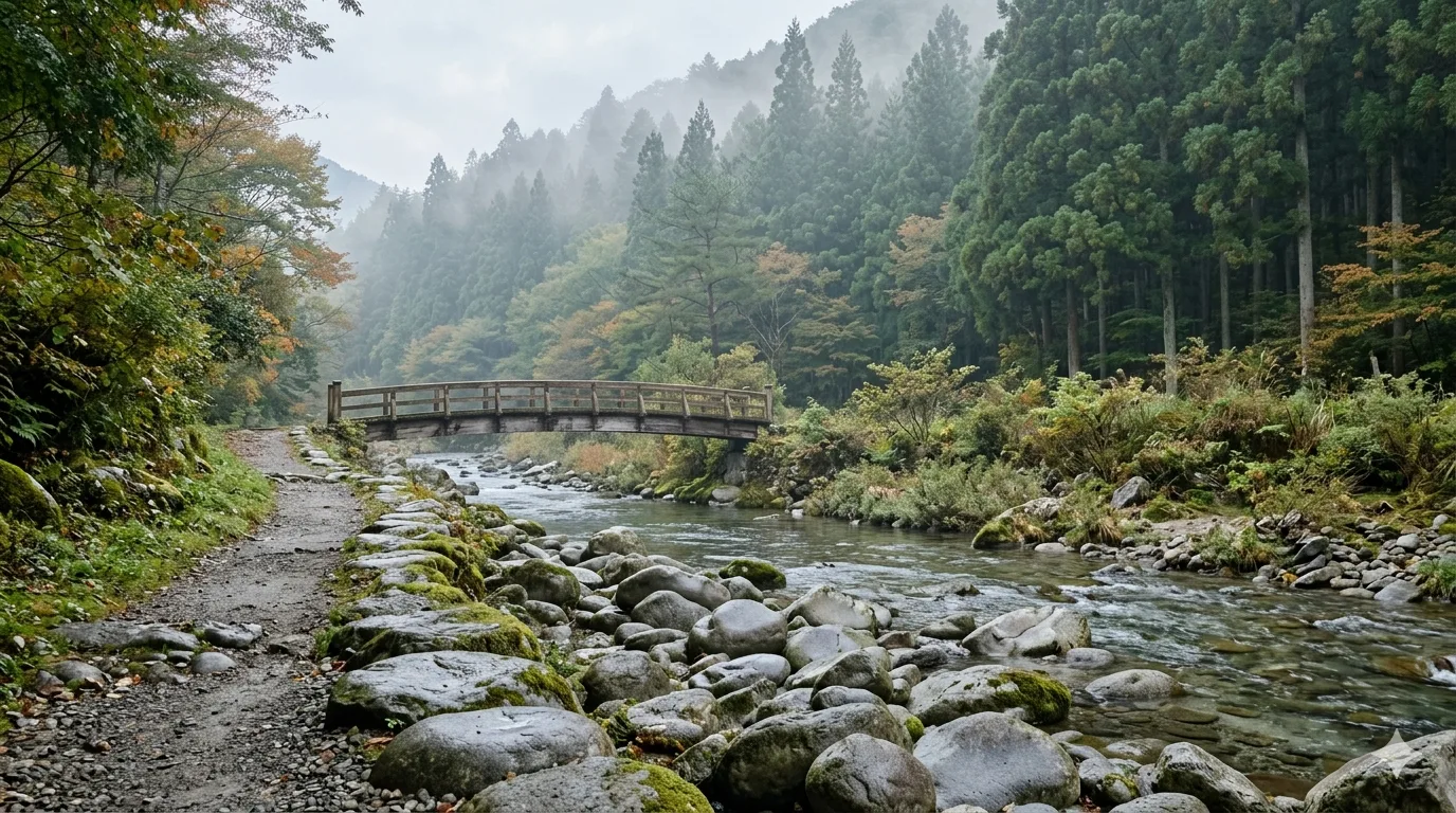 渓流の風景